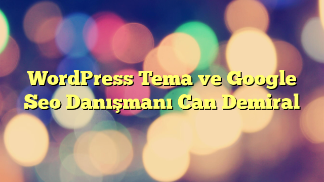 WordPress Tema ve Google Seo Danışmanı Can Demiral